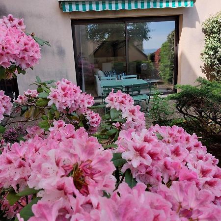 Ferienwohnung Le Denyspuech 55M2 Plein Centre Avec Jardin! Rodez Exterior foto