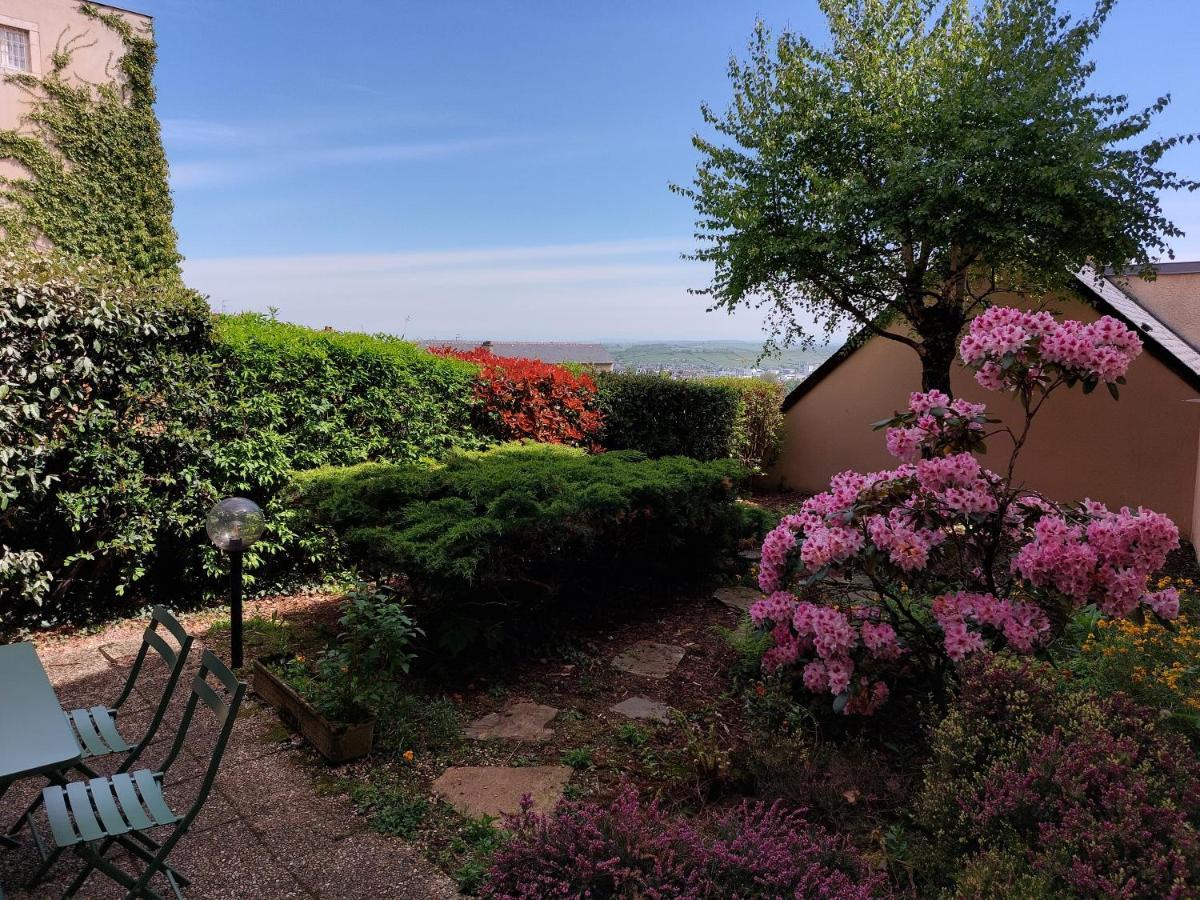 Ferienwohnung Le Denyspuech 55M2 Plein Centre Avec Jardin! Rodez Exterior foto