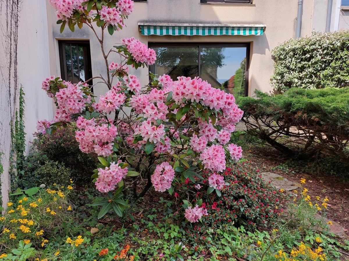 Ferienwohnung Le Denyspuech 55M2 Plein Centre Avec Jardin! Rodez Exterior foto